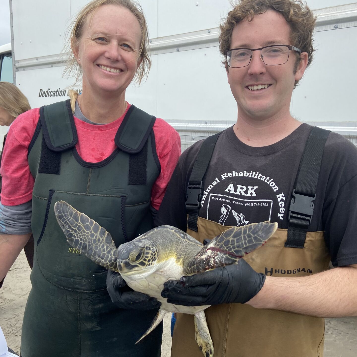Turtle rescue Dec. 2022